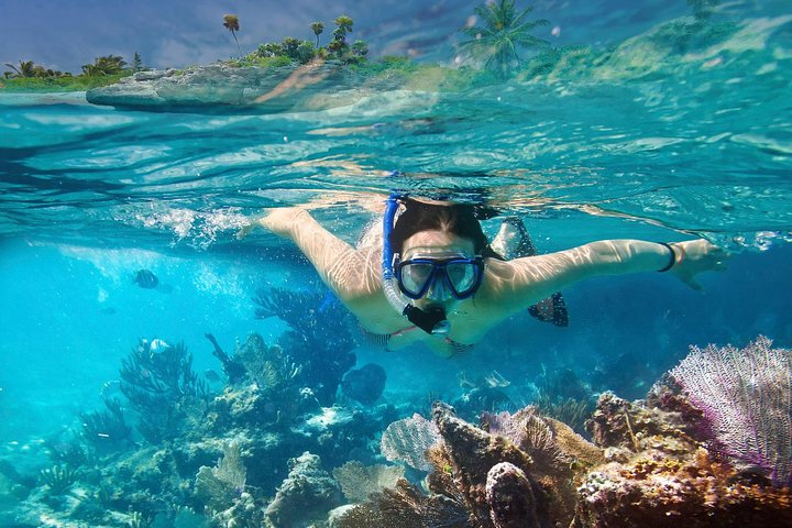 Snorkeling in Unawatuna - Photo 1 of 3